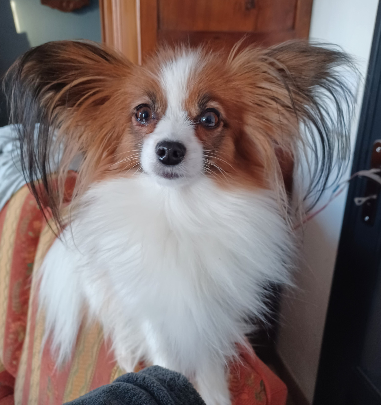 Tara Des Plages De Goarem